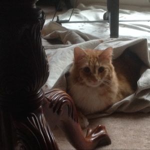 Rescues are the best!!